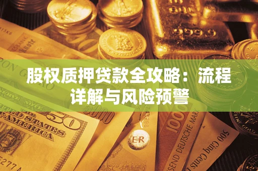 武汉股权质押贷款全攻略：流程详解与风险预警