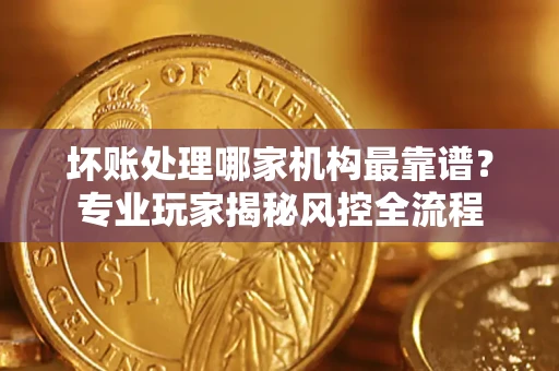 武汉坏账处理哪家机构最靠谱？专业玩家揭秘风控全流程