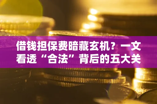 武汉借钱担保费暗藏玄机？一文看透“合法”背后的五大关键陷阱