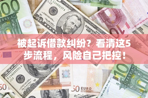 武汉被起诉借款纠纷？看清这5步流程，风险自己把控！