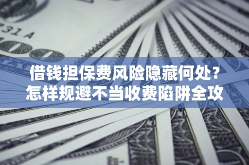 武汉借钱担保费风险隐藏何处？怎样规避不当收费陷阱全攻略！
