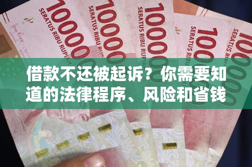 武汉借款不还被起诉？你需要知道的法律程序、风险和省钱技巧
