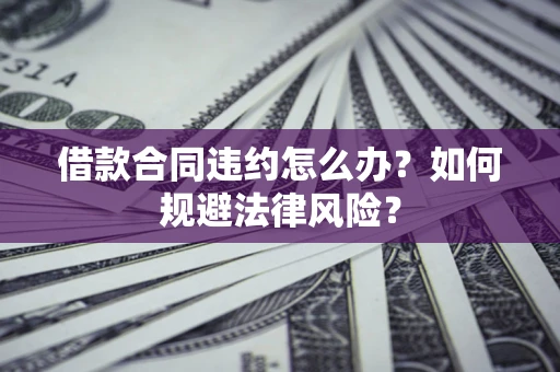 武汉借款合同违约怎么办？如何规避法律风险？